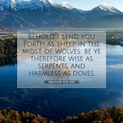 Picture 07 - Matthew 10:16 ASV - Behold, I send you forth as sheep in the midst of - Bible Verse Picture