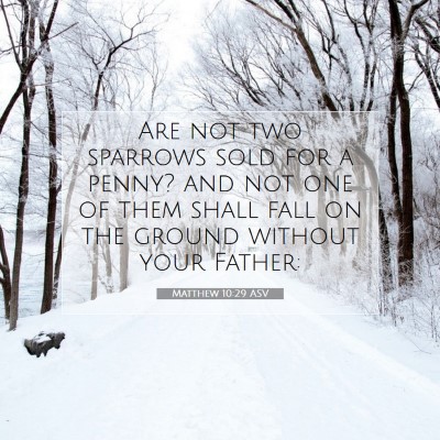 Picture 07 - Matthew 10:29 ASV - Are not two sparrows sold for a penny? and not - Bible Verse Picture