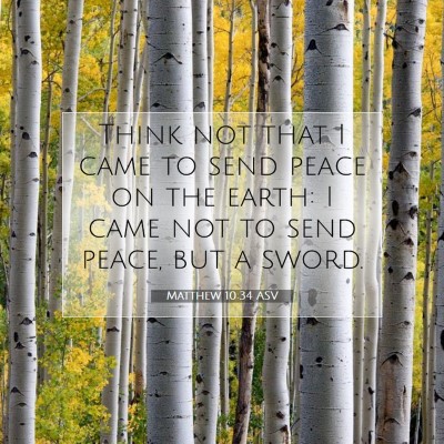 Picture 07 - Matthew 10:34 ASV - Think not that I came to send peace on the earth: - Bible Verse Picture