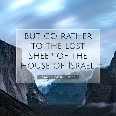 Picture 07 - Matthew 10:6 ASV - but go rather to the lost sheep of the house of - Bible Verse Picture