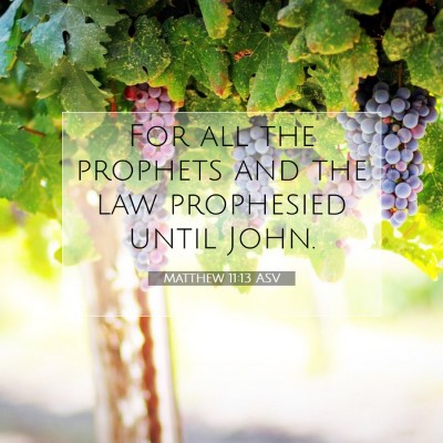 Picture 07 - Matthew 11:13 ASV - For all the prophets and the law prophesied until - Bible Verse Picture