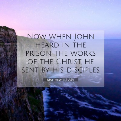 Picture 07 - Matthew 11:2 ASV - Now when John heard in the prison the works of - Bible Verse Picture