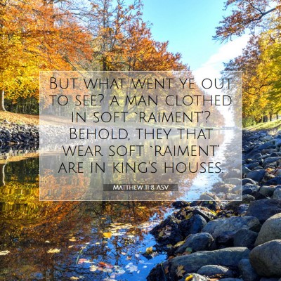Picture 07 - Matthew 11:8 ASV - But what went ye out to see? a man clothed in - Bible Verse Picture