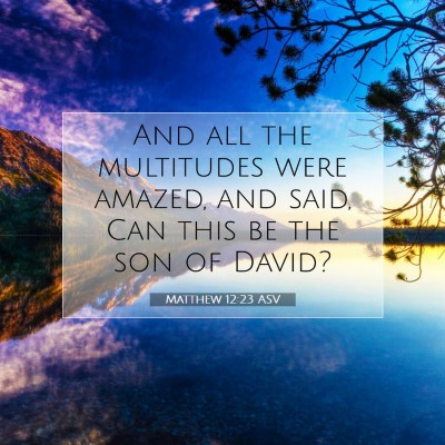 Picture 07 - Matthew 12:23 ASV - And all the multitudes were amazed, and said, Can - Bible Verse Picture
