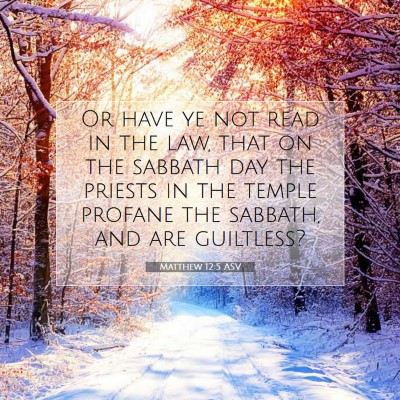 Picture 07 - Matthew 12:5 ASV - Or have ye not read in the law, that on the - Bible Verse Picture