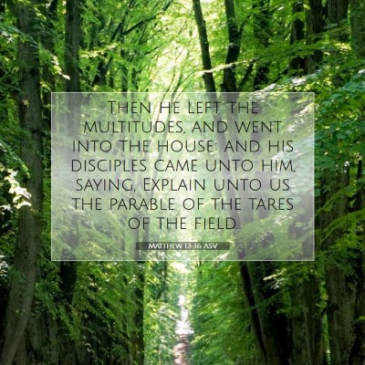 Picture 07 - Matthew 13:36 ASV - Then he left the multitudes, and went into the - Bible Verse Picture