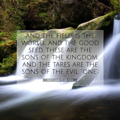 Picture 07 - Matthew 13:38 ASV - and the field is the world; and the good seed, - Bible Verse Picture