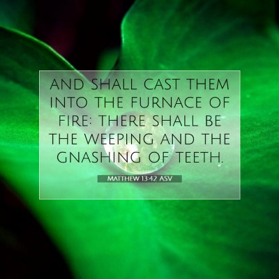 Picture 07 - Matthew 13:42 ASV - and shall cast them into the furnace of fire: - Bible Verse Picture