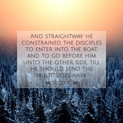 Picture 07 - Matthew 14:22 ASV - And straightway he constrained the disciples to - Bible Verse Picture
