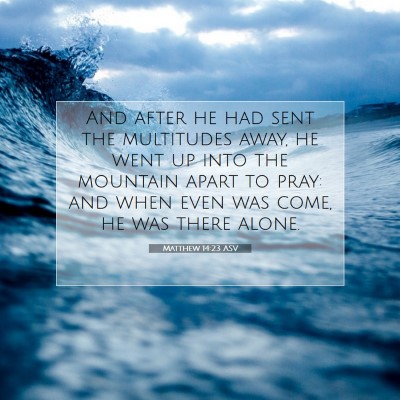 Picture 07 - Matthew 14:23 ASV - And after he had sent the multitudes away, he - Bible Verse Picture