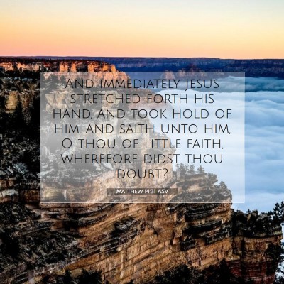 Picture 07 - Matthew 14:31 ASV - And immediately Jesus stretched forth his hand, - Bible Verse Picture