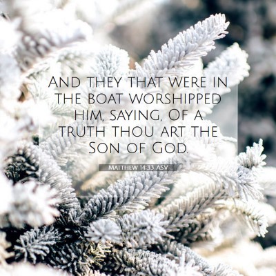 Picture 07 - Matthew 14:33 ASV - And they that were in the boat worshipped him, - Bible Verse Picture