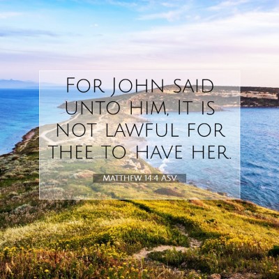 Picture 07 - Matthew 14:4 ASV - For John said unto him, It is not lawful for thee - Bible Verse Picture