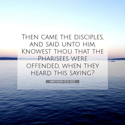 Picture 07 - Matthew 15:12 ASV - Then came the disciples, and said unto him, - Bible Verse Picture