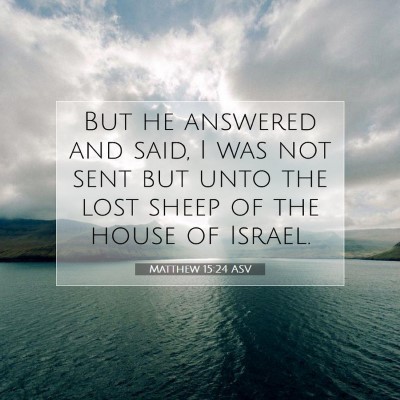 Picture 07 - Matthew 15:24 ASV - But he answered and said, I was not sent but unto - Bible Verse Picture