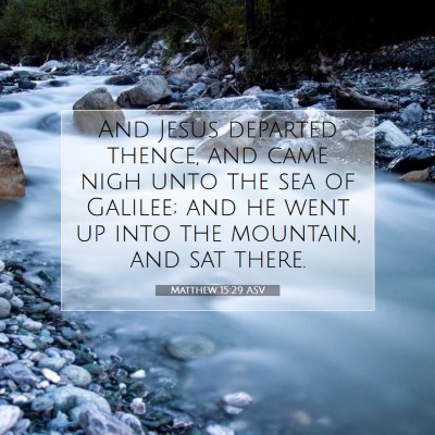 Picture 07 - Matthew 15:29 ASV - And Jesus departed thence, and came nigh unto the - Bible Verse Picture