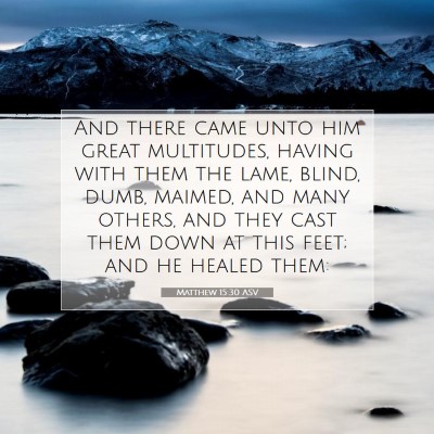 Picture 07 - Matthew 15:30 ASV - And there came unto him great multitudes, having - Bible Verse Picture