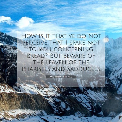 Picture 07 - Matthew 16:11 ASV - How is it that ye do not perceive that I spake - Bible Verse Picture