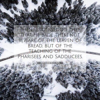 Picture 07 - Matthew 16:12 ASV - Then understood they that he bade them not beware - Bible Verse Picture