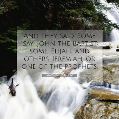 Picture 07 - Matthew 16:14 ASV - And they said, Some `say' John the Baptist; some, - Bible Verse Picture