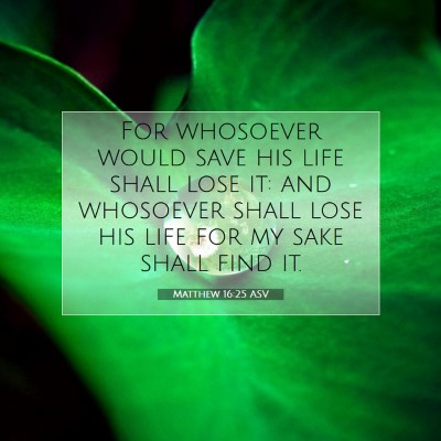 Picture 07 - Matthew 16:25 ASV - For whosoever would save his life shall lose it: - Bible Verse Picture