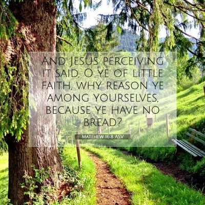 Picture 07 - Matthew 16:8 ASV - And Jesus perceiving it said, O ye of little - Bible Verse Picture