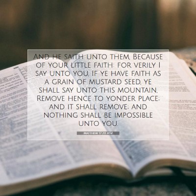 Picture 07 - Matthew 17:20 ASV - And he saith unto them, Because of your little - Bible Verse Picture
