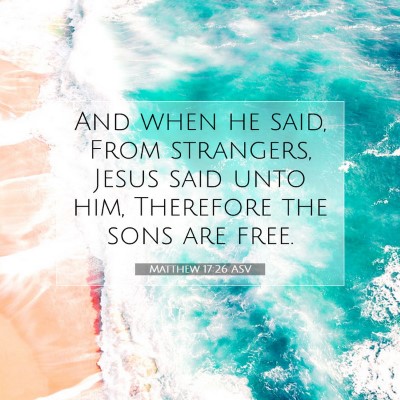 Picture 07 - Matthew 17:26 ASV - And when he said, From strangers, Jesus said unto - Bible Verse Picture