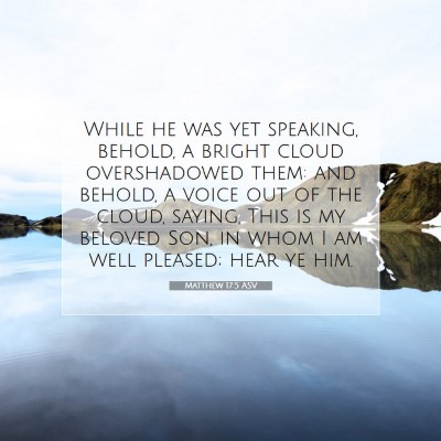 Picture 07 - Matthew 17:5 ASV - While he was yet speaking, behold, a bright cloud - Bible Verse Picture