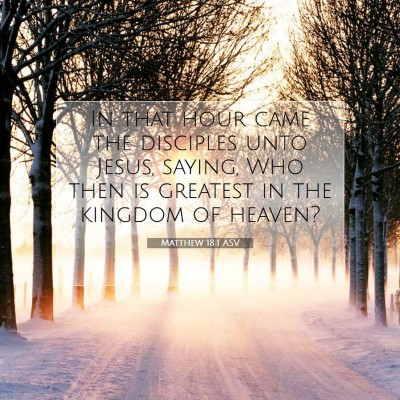 Picture 07 - Matthew 18:1 ASV - In that hour came the disciples unto Jesus, - Bible Verse Picture