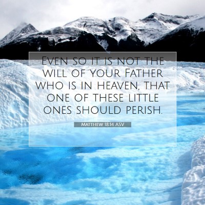 Picture 07 - Matthew 18:14 ASV - Even so it is not the will of your Father who is - Bible Verse Picture