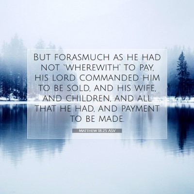 Picture 07 - Matthew 18:25 ASV - But forasmuch as he had not `wherewith' to pay, - Bible Verse Picture