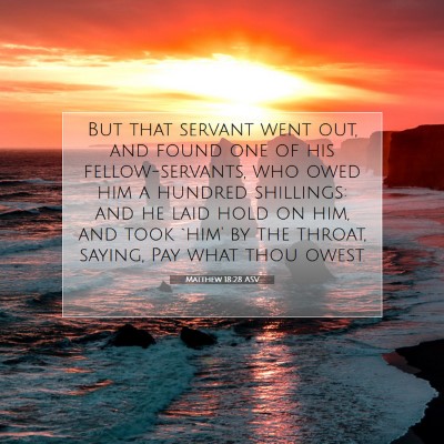 Picture 07 - Matthew 18:28 ASV - But that servant went out, and found one of his - Bible Verse Picture