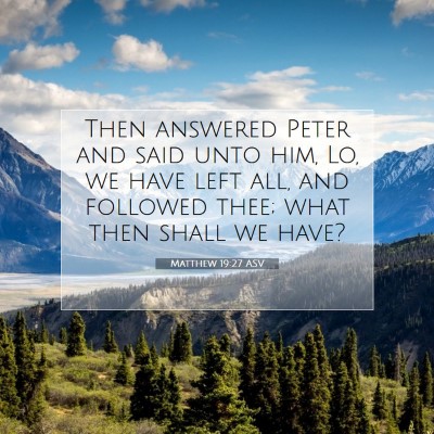 Picture 07 - Matthew 19:27 ASV - Then answered Peter and said unto him, Lo, we - Bible Verse Picture