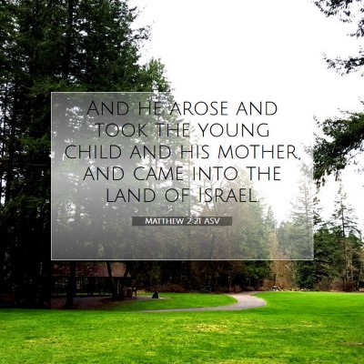 Picture 07 - Matthew 2:21 ASV - And he arose and took the young child and his - Bible Verse Picture