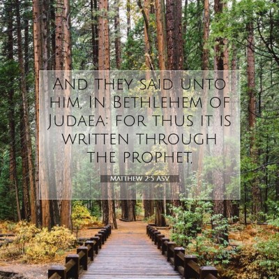 Picture 07 - Matthew 2:5 ASV - And they said unto him, In Bethlehem of Judaea: - Bible Verse Picture