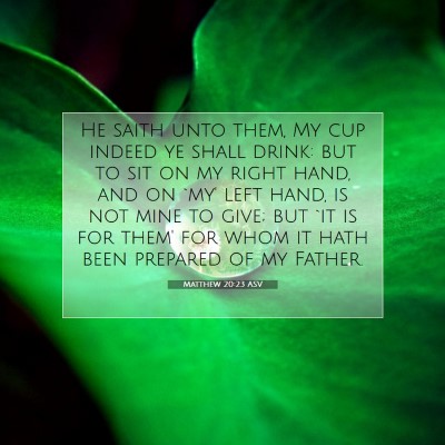 Picture 07 - Matthew 20:23 ASV - He saith unto them, My cup indeed ye shall drink: - Bible Verse Picture