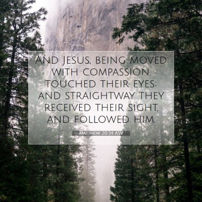 Picture 07 - Matthew 20:34 ASV - And Jesus, being moved with compassion, touched - Bible Verse Picture