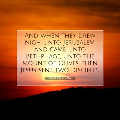 Picture 07 - Matthew 21:1 ASV - And when they drew nigh unto Jerusalem, and came - Bible Verse Picture