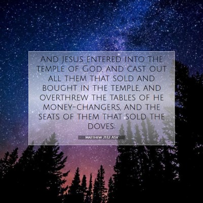 Picture 07 - Matthew 21:12 ASV - And Jesus entered into the temple of God, and - Bible Verse Picture