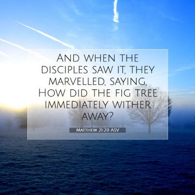 Picture 07 - Matthew 21:20 ASV - And when the disciples saw it, they marvelled, - Bible Verse Picture