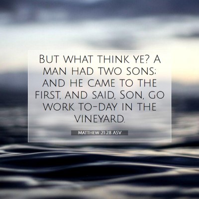 Picture 07 - Matthew 21:28 ASV - But what think ye? A man had two sons; and he - Bible Verse Picture