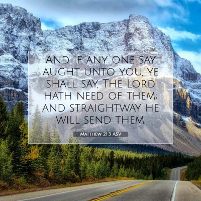 Picture 07 - Matthew 21:3 ASV - And if any one say aught unto you, ye shall say, - Bible Verse Picture