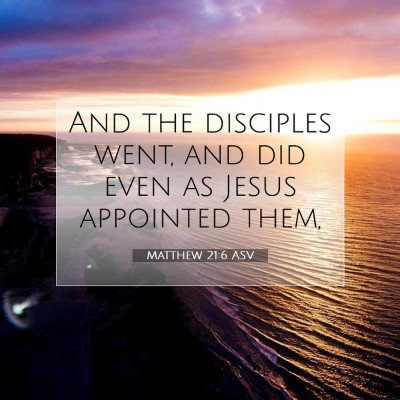 Picture 07 - Matthew 21:6 ASV - And the disciples went, and did even as Jesus - Bible Verse Picture