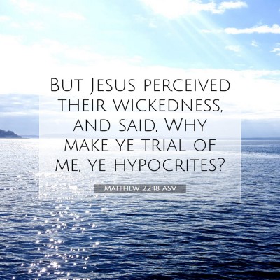 Picture 07 - Matthew 22:18 ASV - But Jesus perceived their wickedness, and said, - Bible Verse Picture