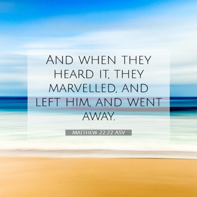 Picture 07 - Matthew 22:22 ASV - And when they heard it, they marvelled, and left - Bible Verse Picture