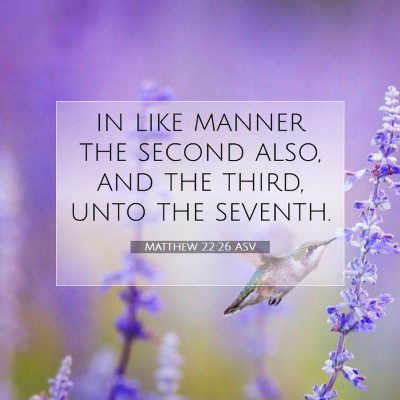 Picture 07 - Matthew 22:26 ASV - in like manner the second also, and the third, - Bible Verse Picture
