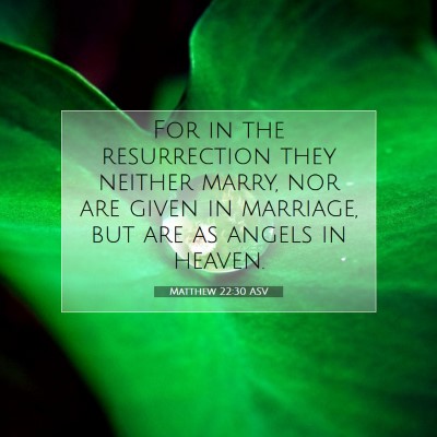 Picture 07 - Matthew 22:30 ASV - For in the resurrection they neither marry, nor - Bible Verse Picture