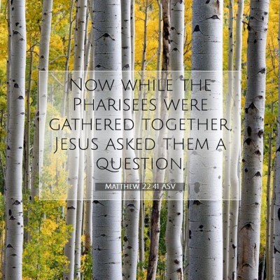 Picture 07 - Matthew 22:41 ASV - Now while the Pharisees were gathered together, - Bible Verse Picture