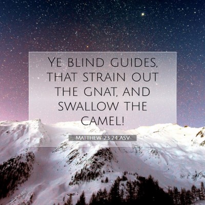 Picture 07 - Matthew 23:24 ASV - Ye blind guides, that strain out the gnat, and - Bible Verse Picture
